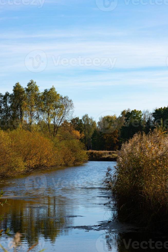 Autumn landscape, beautiful view of a small river with trees, bushes and reeds. photo