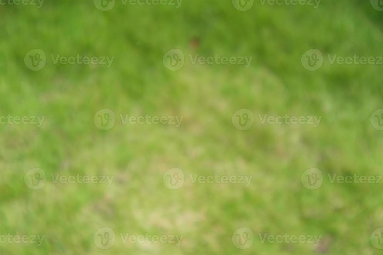 Blur green grass background photo