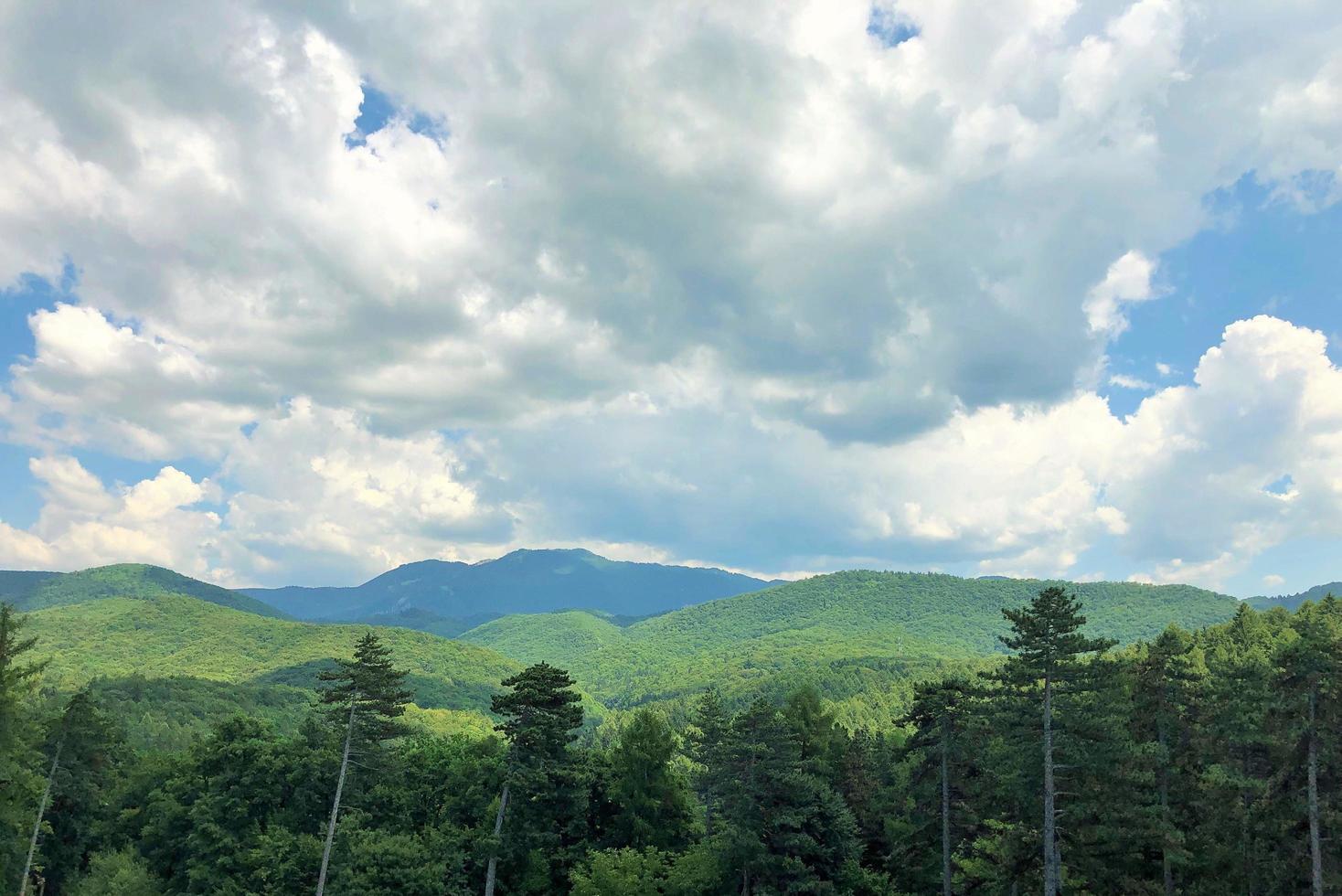 A beautiful view of hills in the distance, from the forest. photo