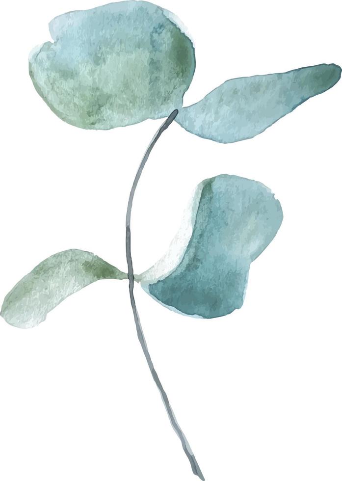 Watercolor hand-drawn illustration. Eucalyptus clipart element on the white background. vector