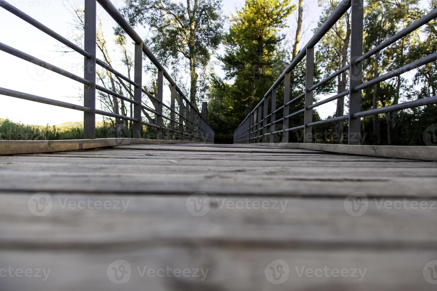 Wooden footbridge in the water photo