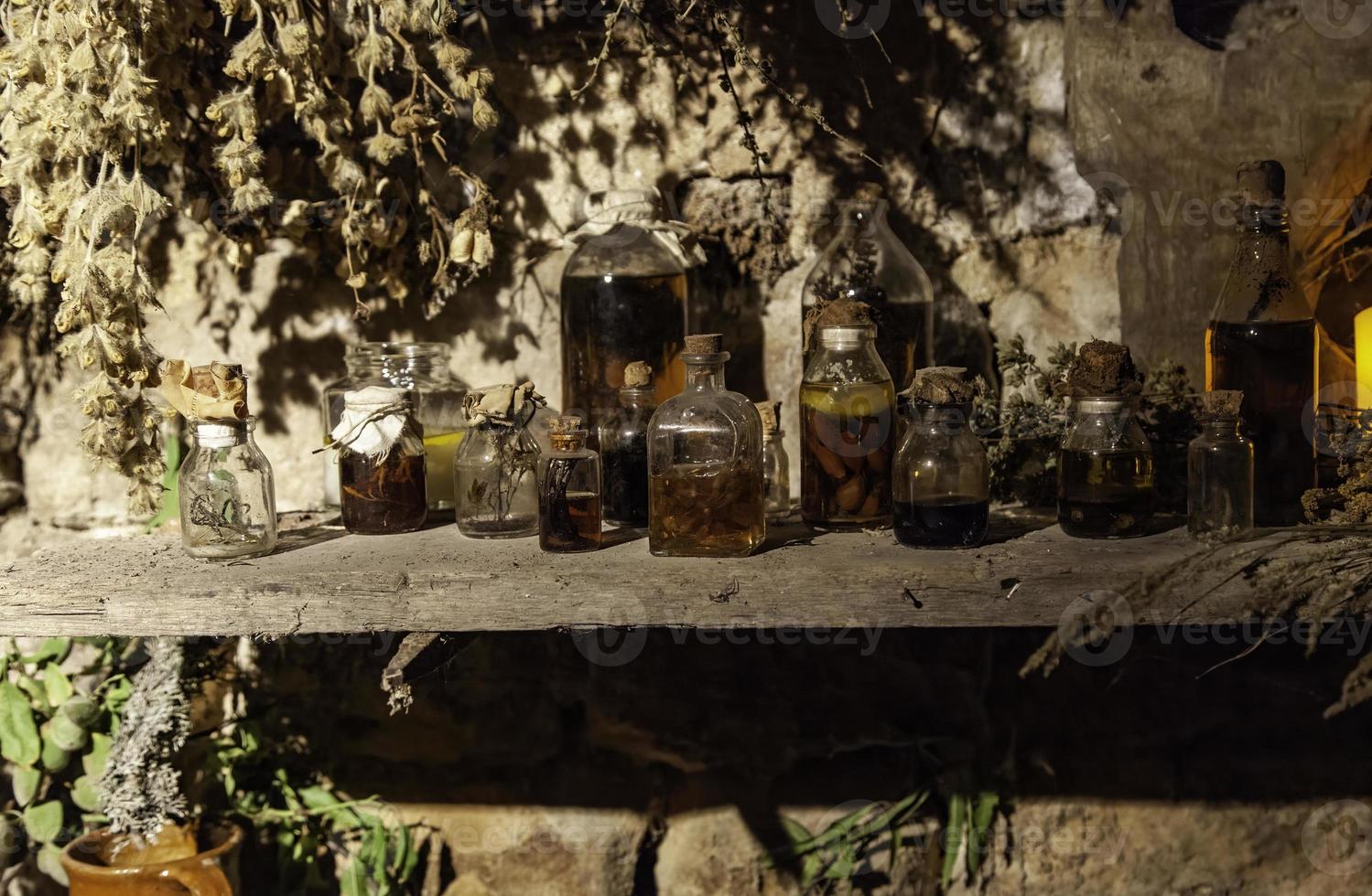 Aromatic dried flowers photo