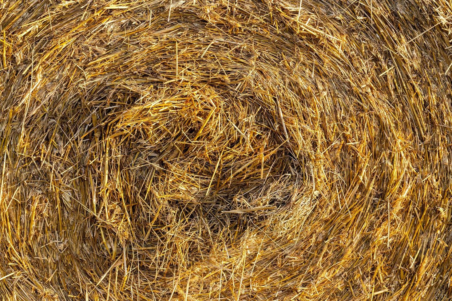 twisted straw, close up photo