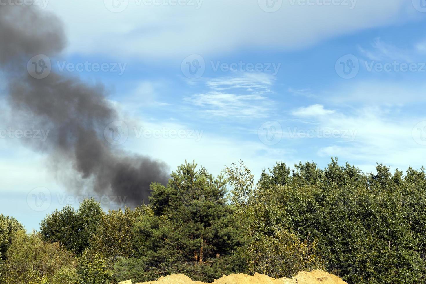 black smoke from burning forest trees and buildings photo