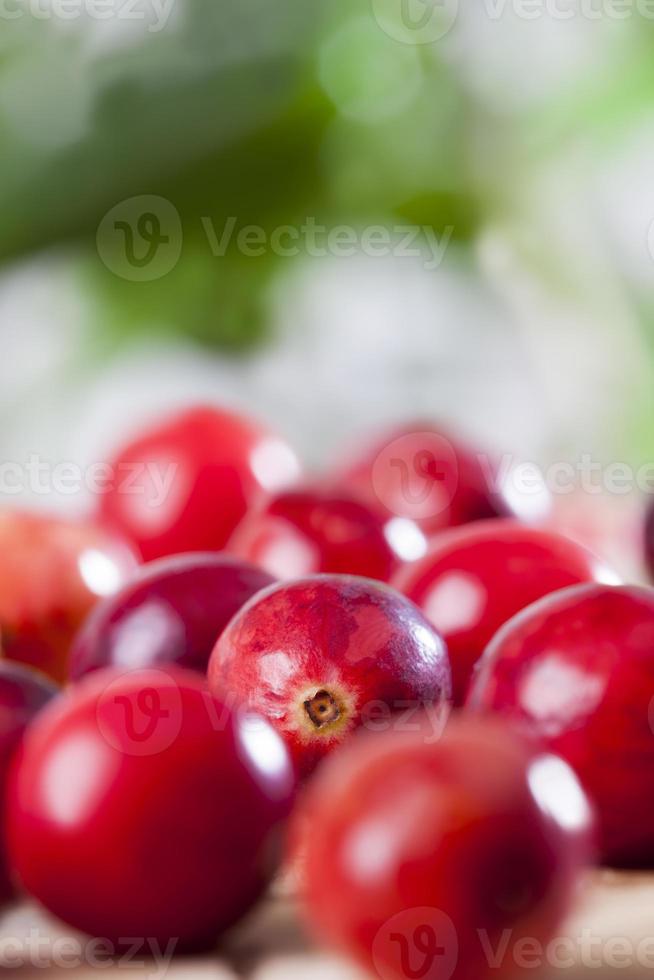 homemade cranberries grown in an industrial garden 9509744 Stock Photo
