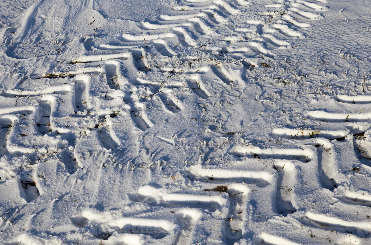 Road under the snow photo
