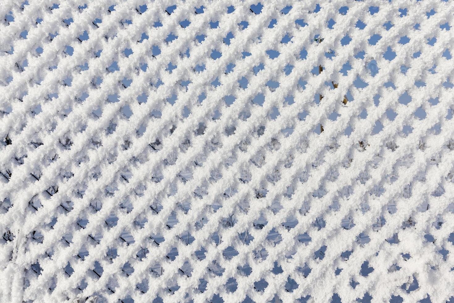 metal mesh netting covered with snow photo