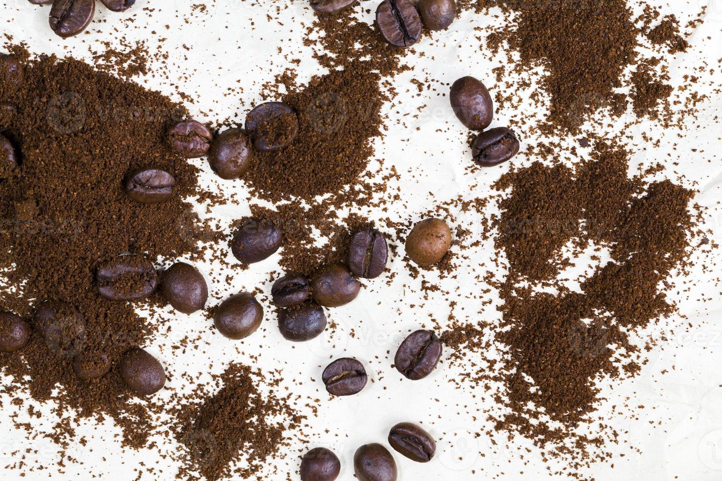 roasted coffee beans photo