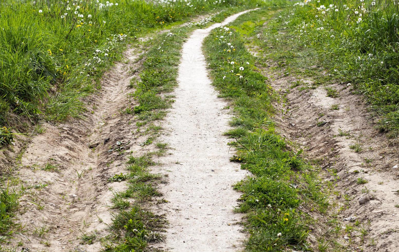 Field and road photo