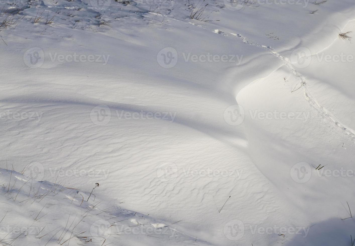 soft but frozen snow that fell during the snowfall photo