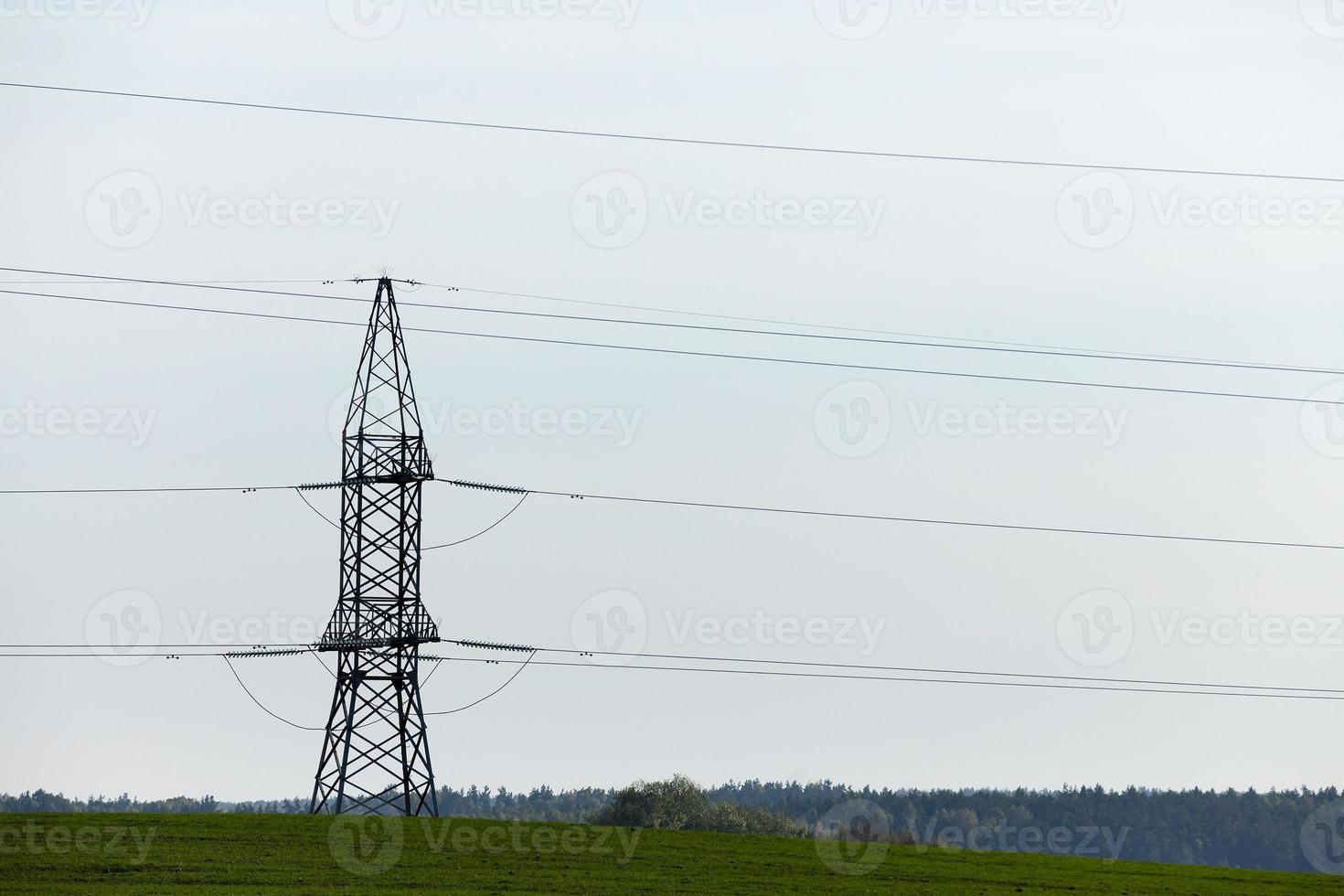 High-voltage poles, close-up photo