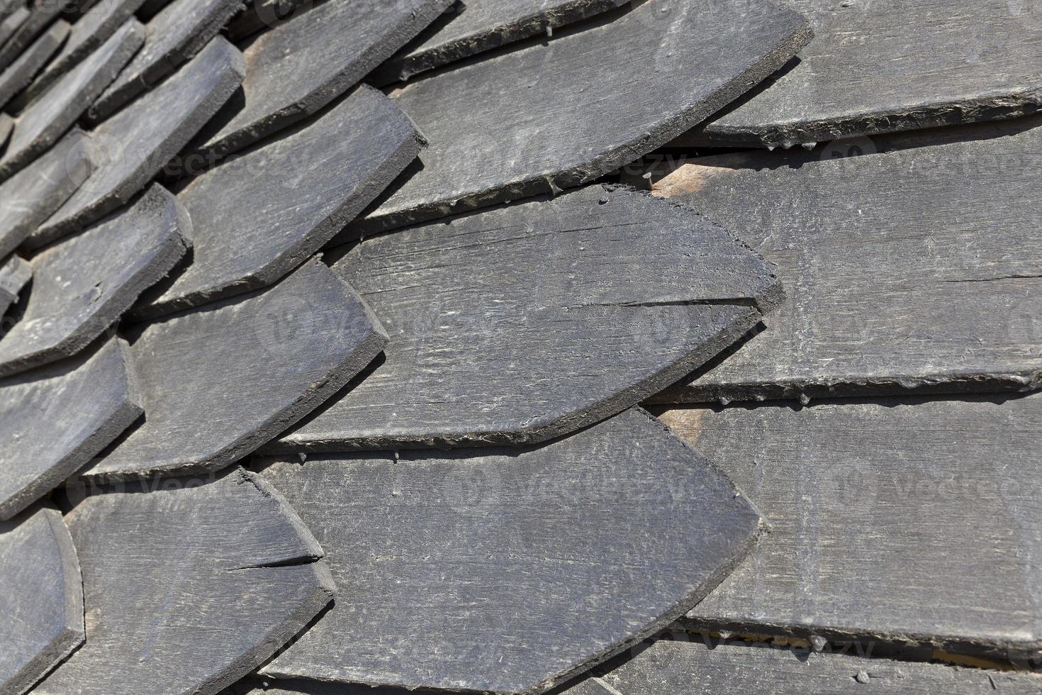 Old pine board, close up photo