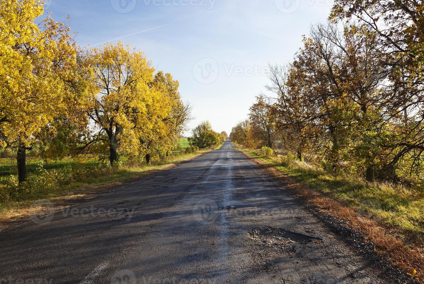 small country road photo