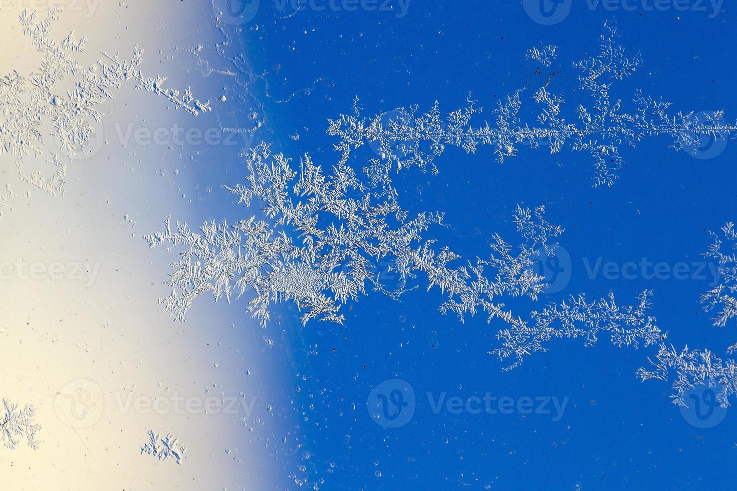 frost on the glass photo
