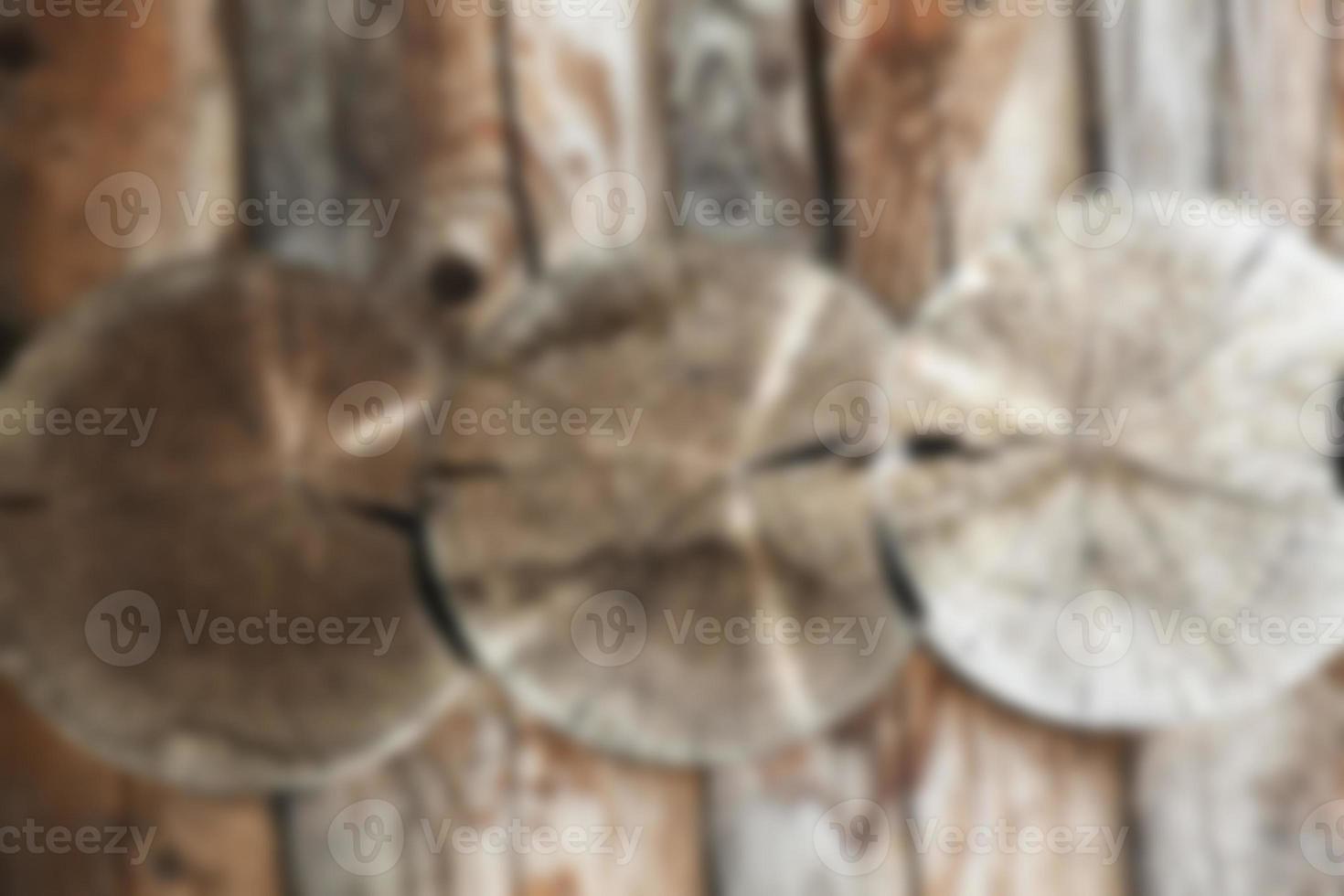 part of wooden structure photo