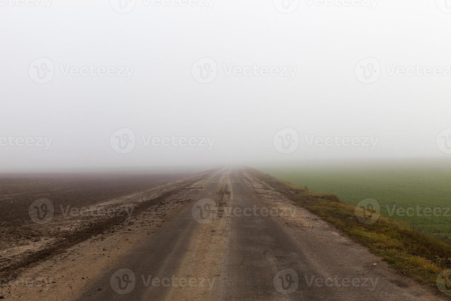 Field in the fog, close up photo