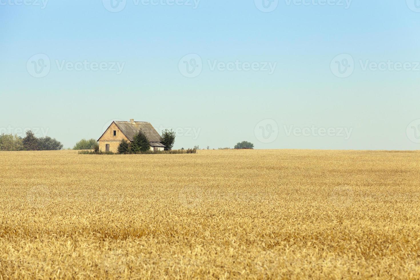 The house is in the field photo