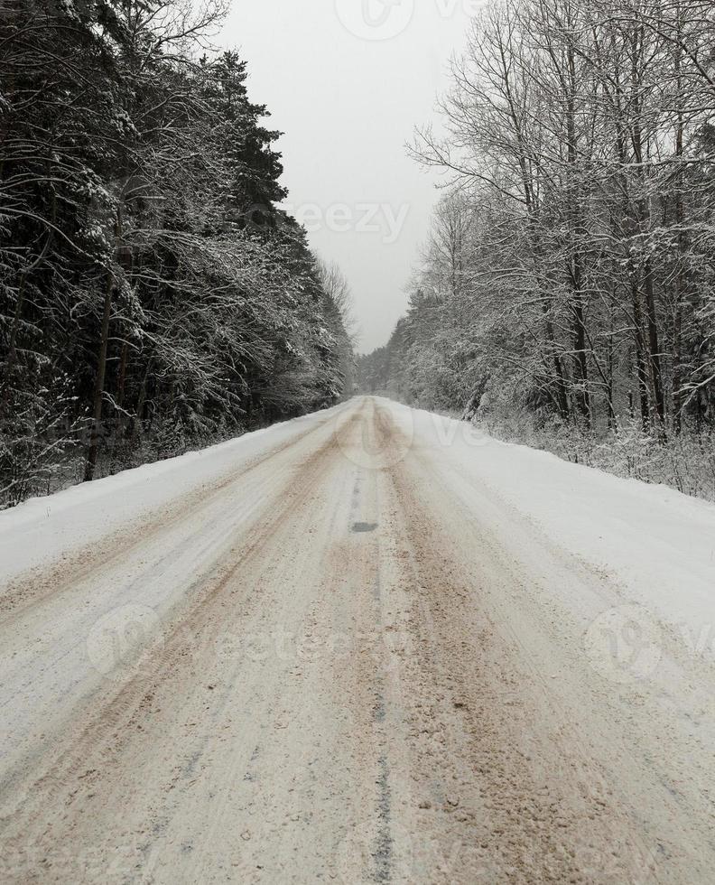 camino bajo la nieve foto