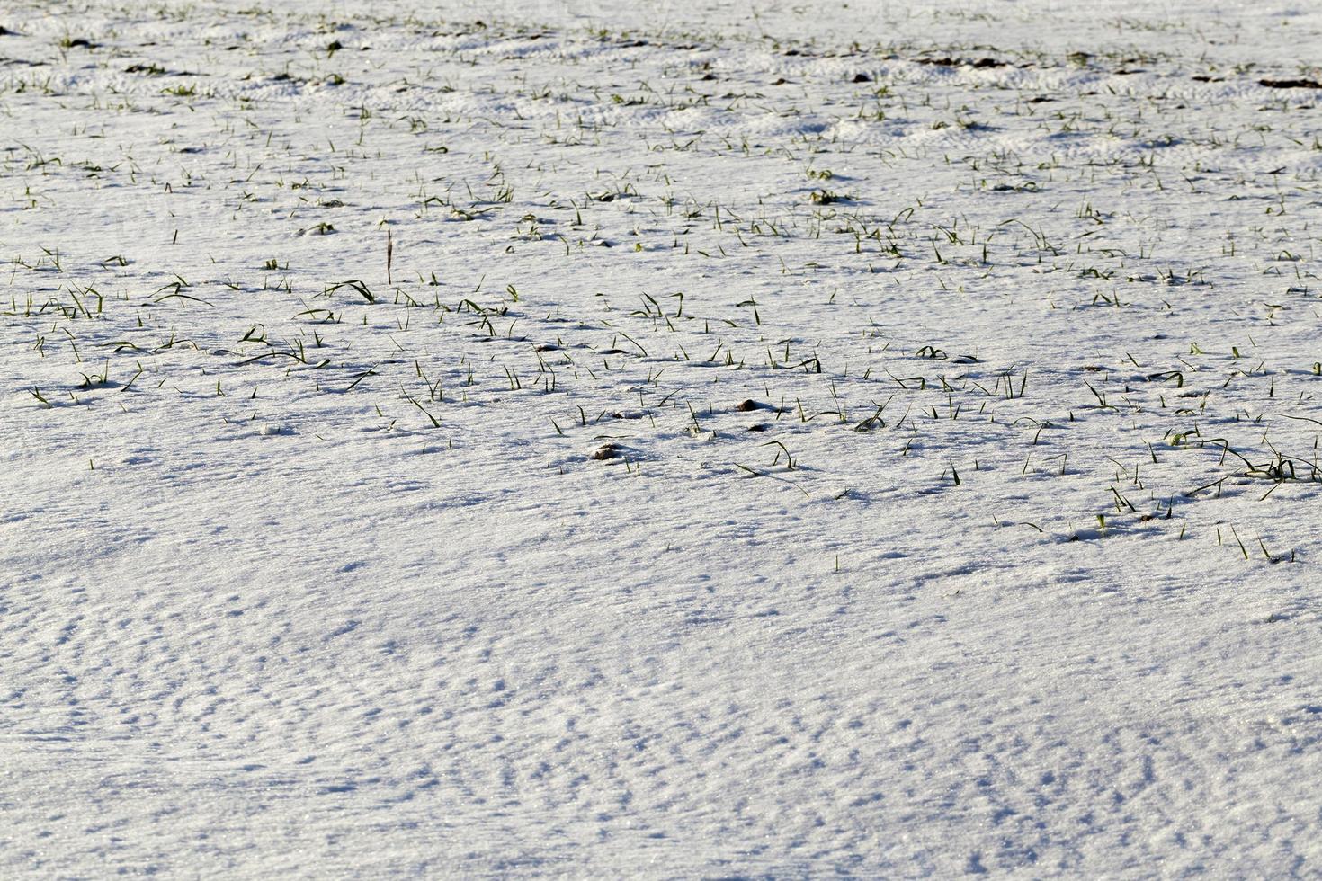 covered with snow plowed earth photo