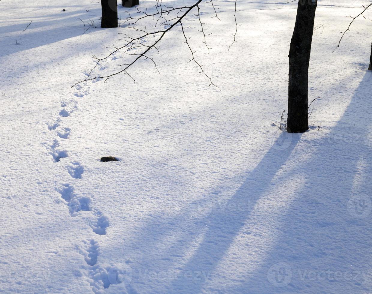 snow drifts, close up photo