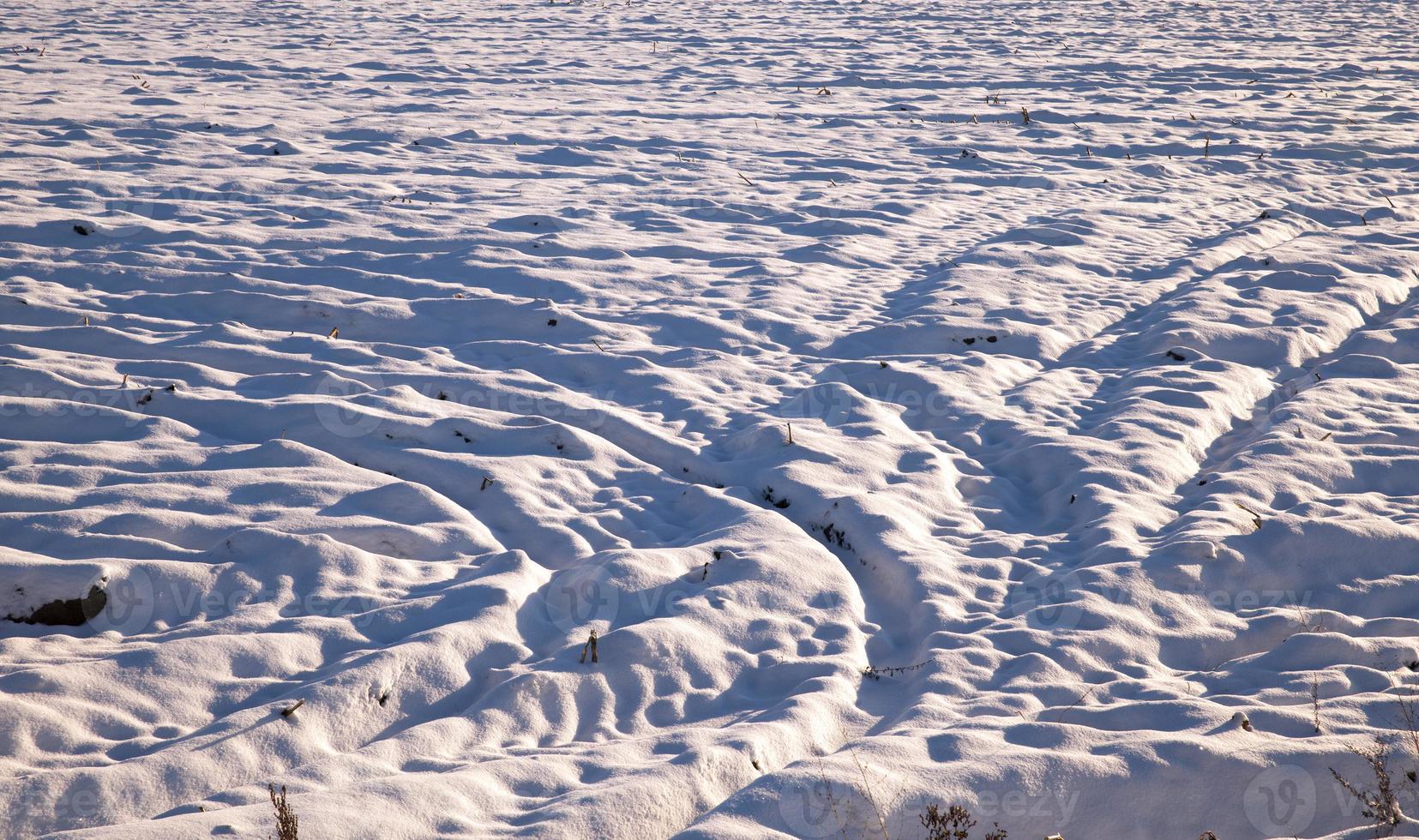 Tractor traces in the field in winter photo