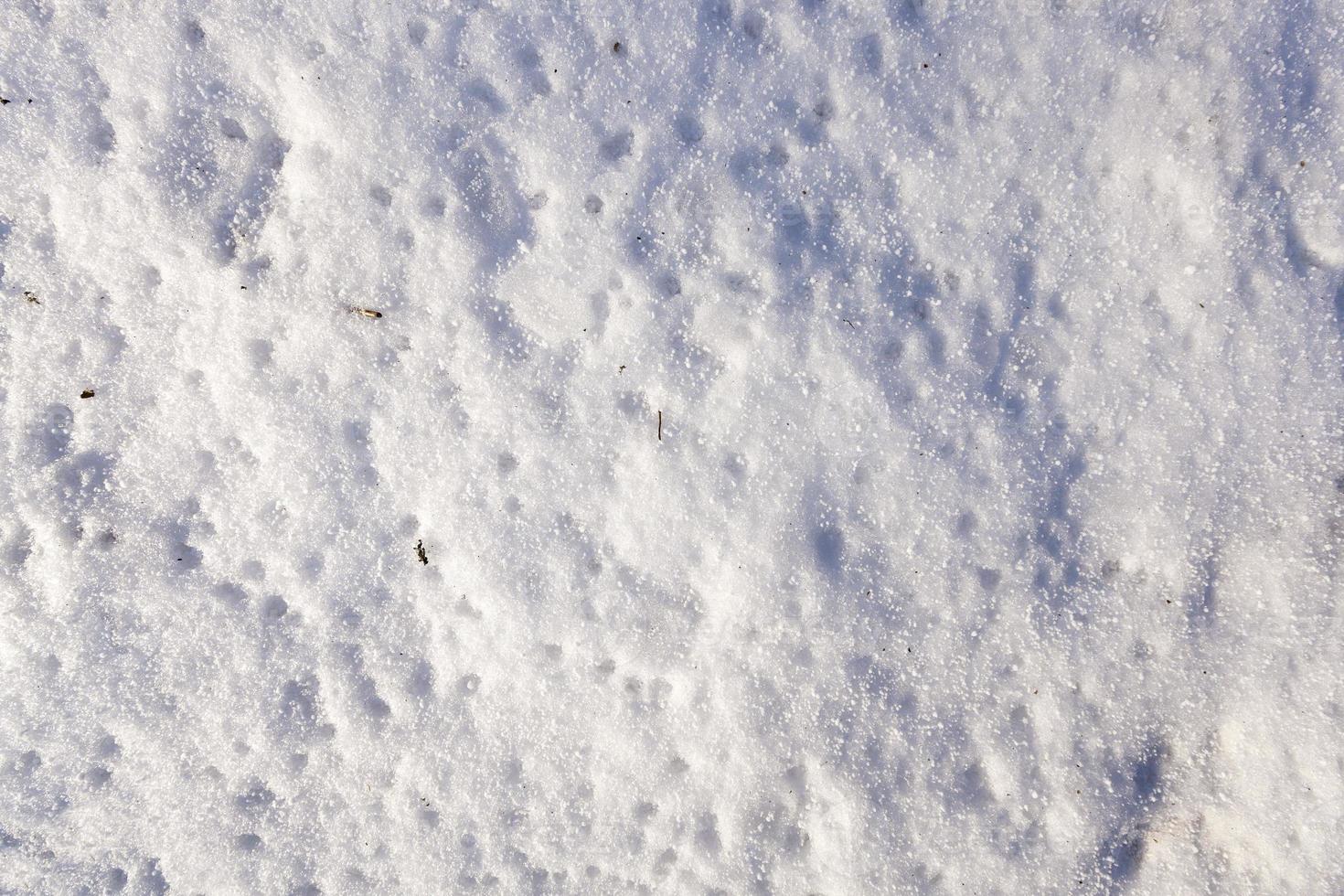 land covered with snow photo