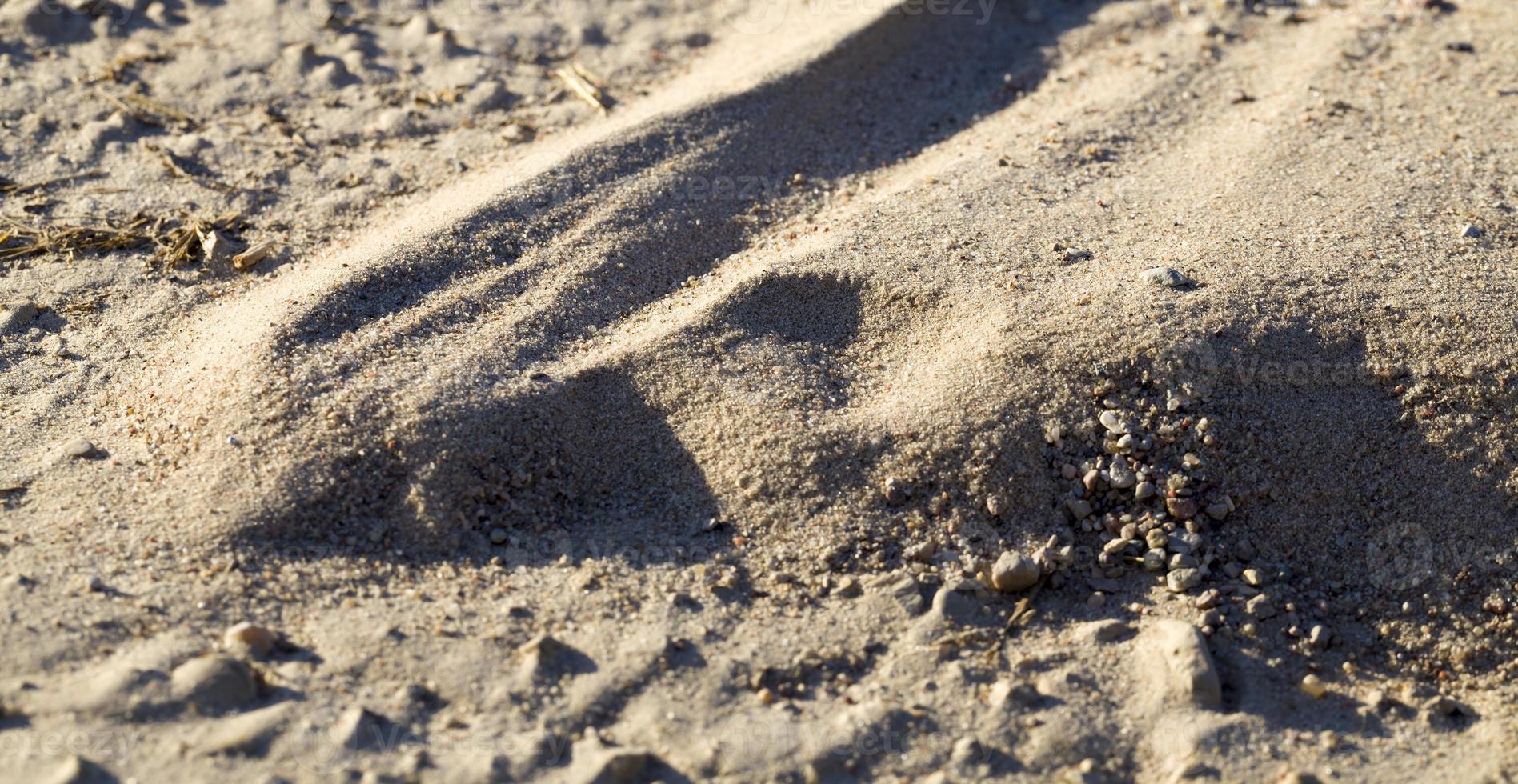 details sand, close up photo