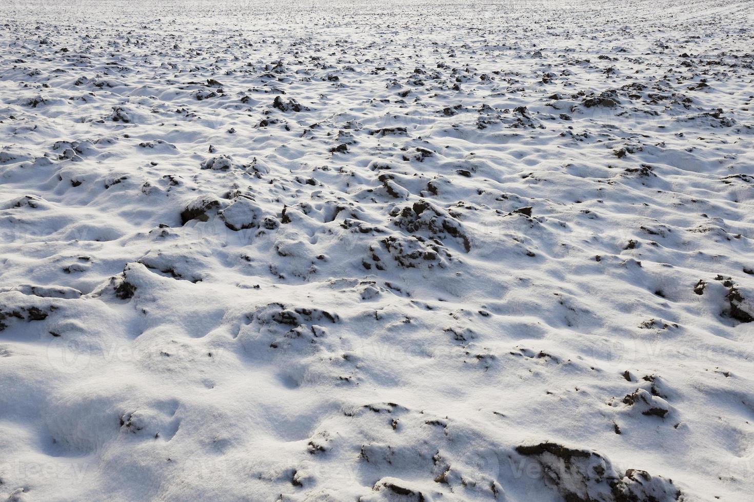 covered with snow plowed earth photo