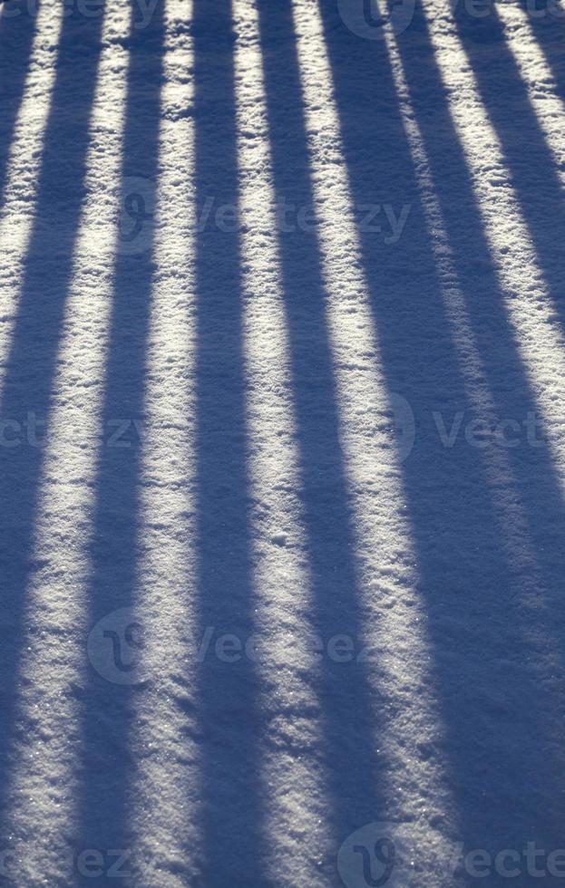 thin and long striped shadows photo