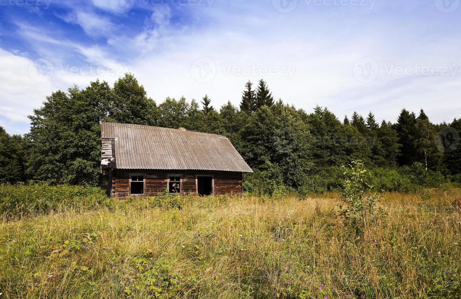 abandoned house . Belarus. photo