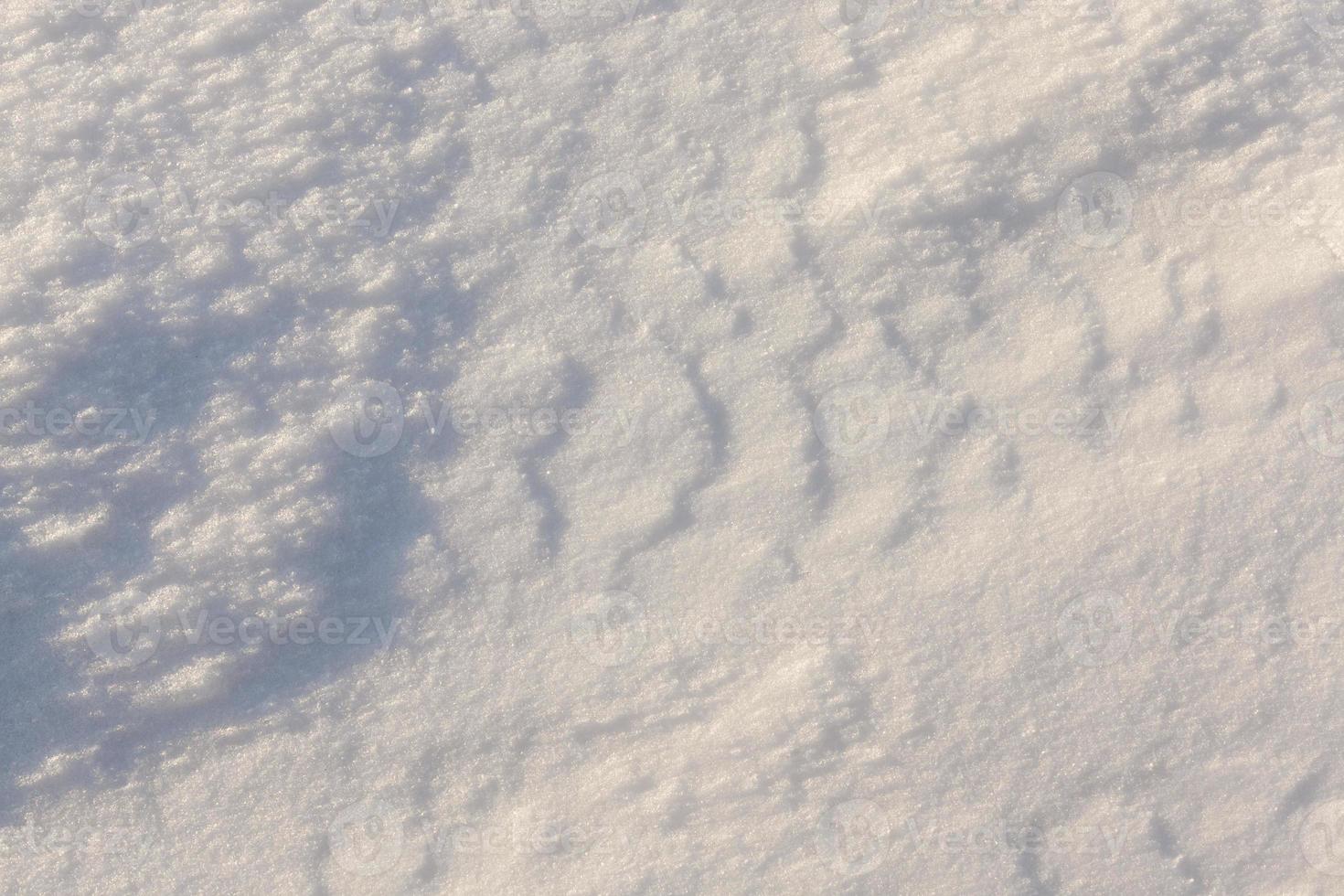 Snow drifts in winter photo