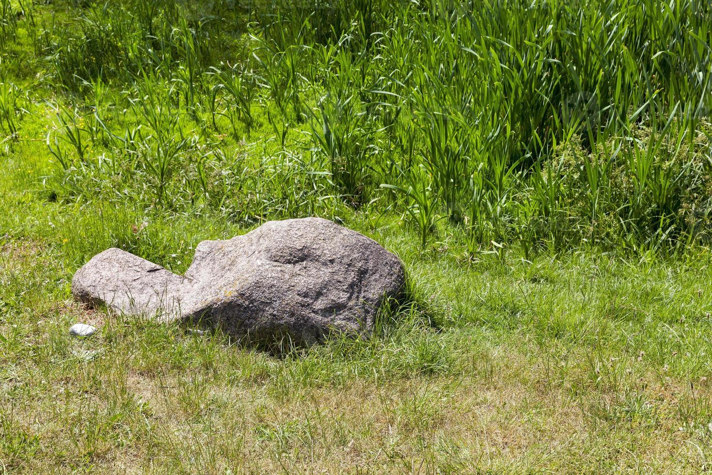 stones on green grass photo