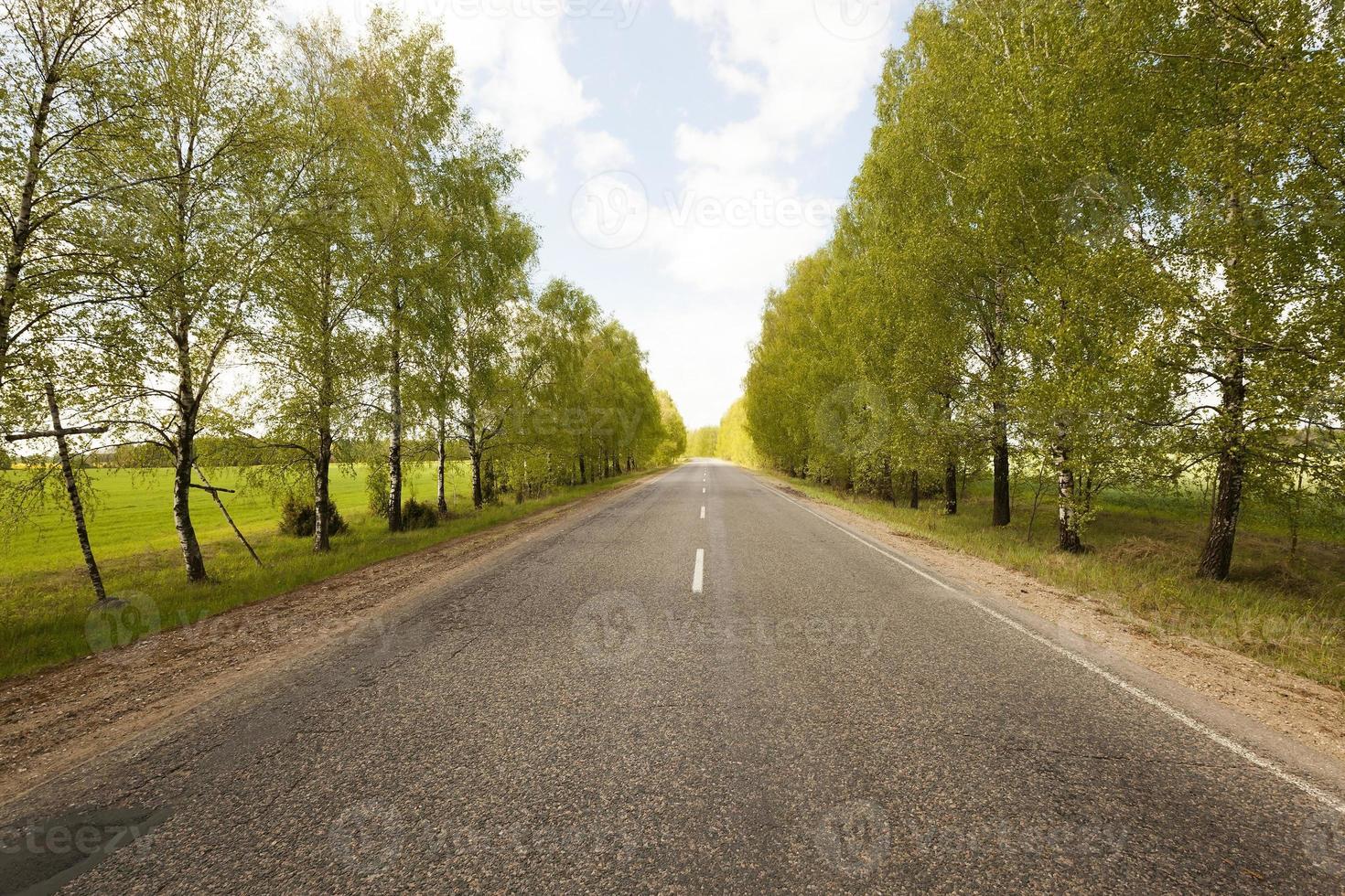 Spring road . countryside photo