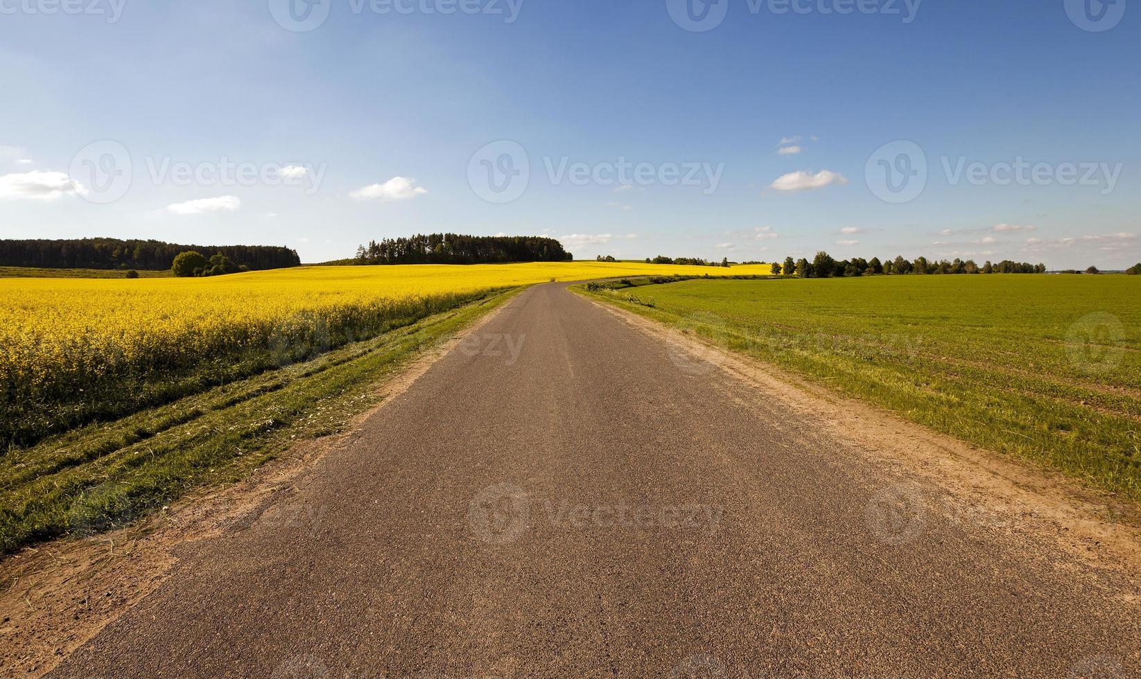 la carretera asfaltada foto