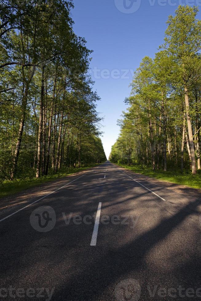 the asphalted road photo