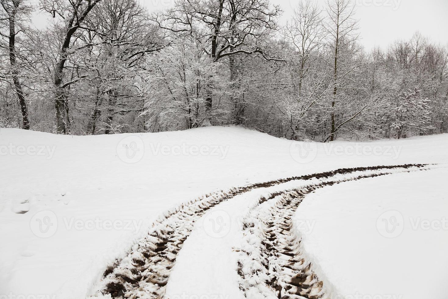 el camino de invierno foto