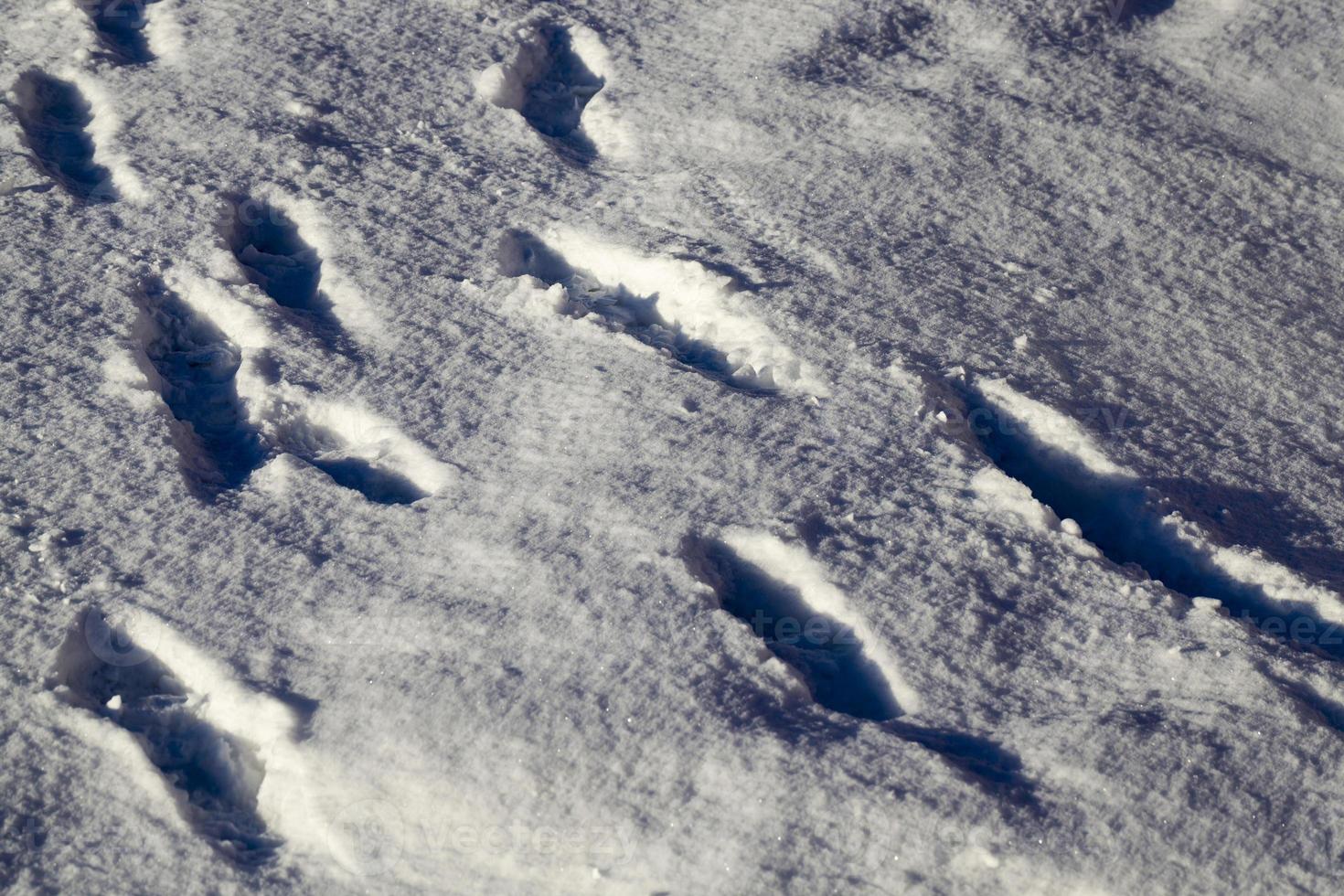 snow drifts, close up photo