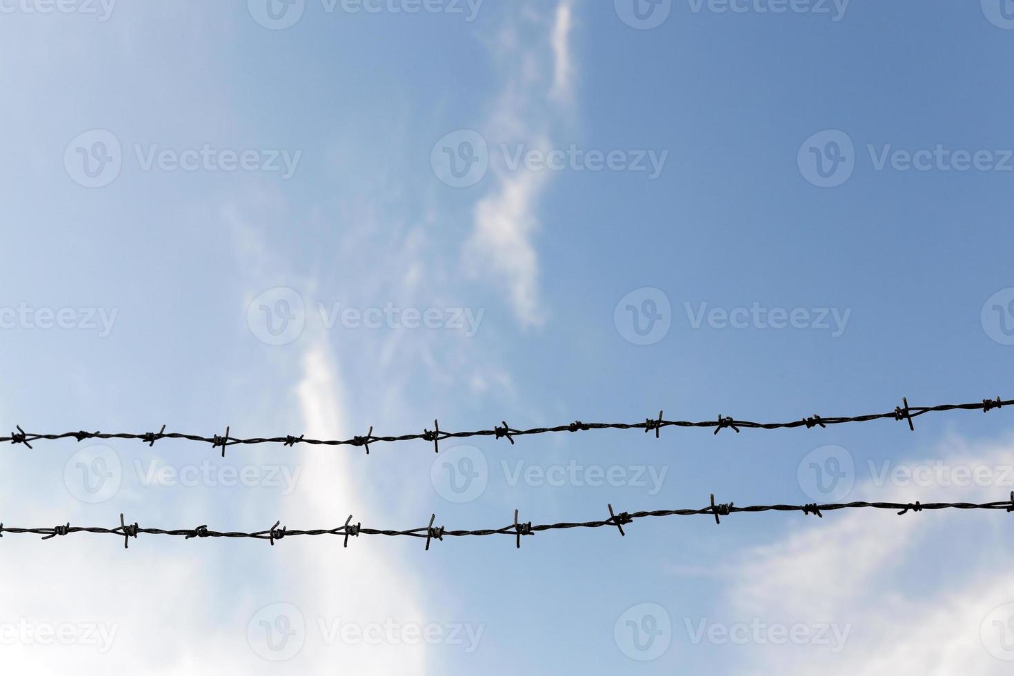 barbed wire, sky photo