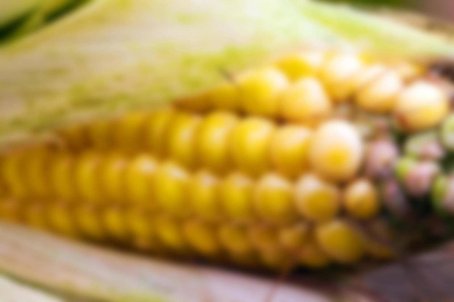 agricultural field, Defocus photo