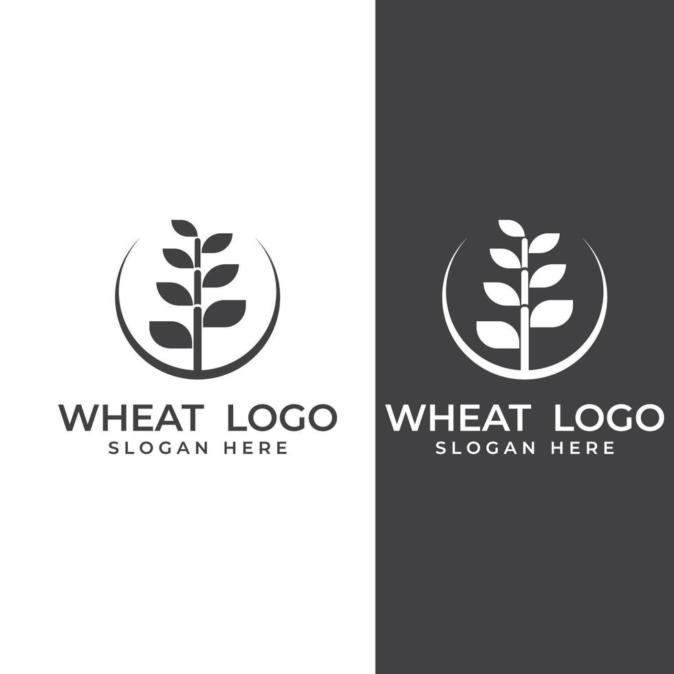 logotipo de trigo o cereal, campo de trigo y logotipo de granja de trigo. Con ilustraciones de edición fáciles y sencillas. vector