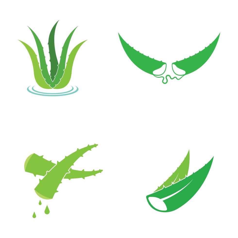 Aloe vera logo vector ilustration template