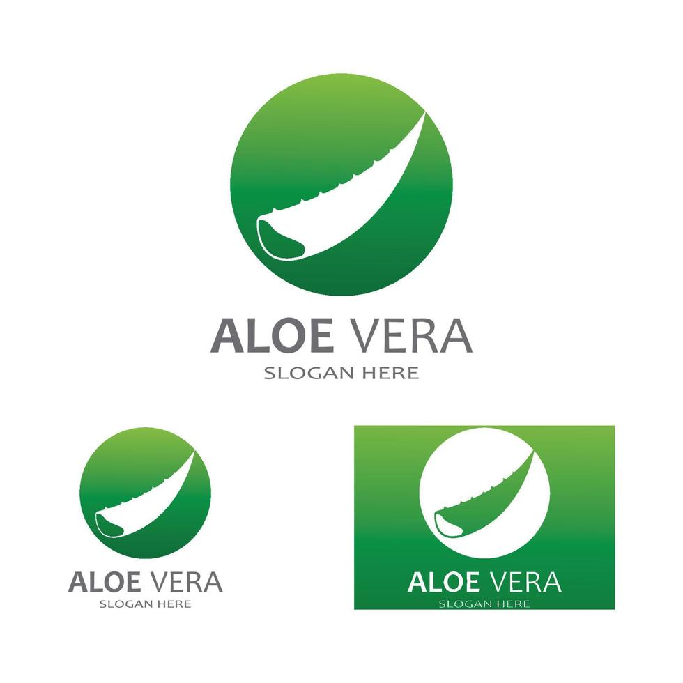 Aloe vera logo vector ilustration template