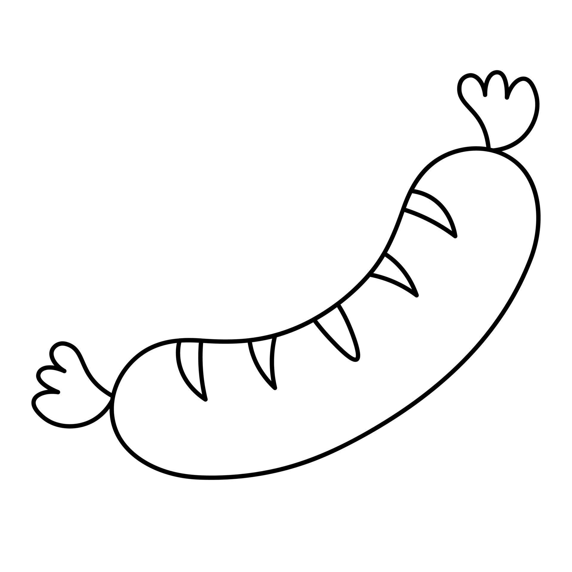 Sausage. Fried sausage with cuts. Sketch. Vector illustration. Juicy
