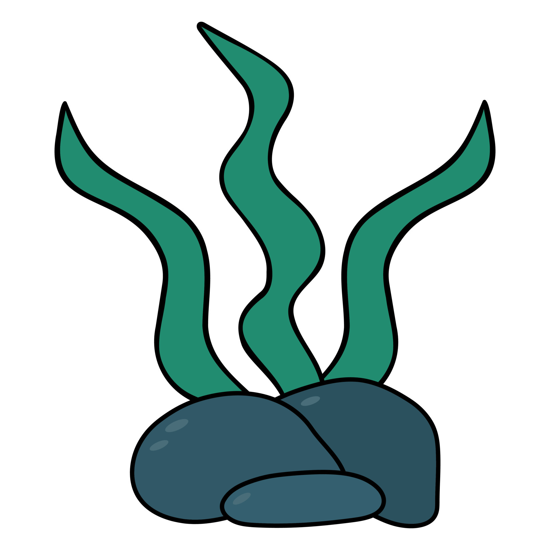 Green algae behind the stone. Underwater vegetation grows on the ocean