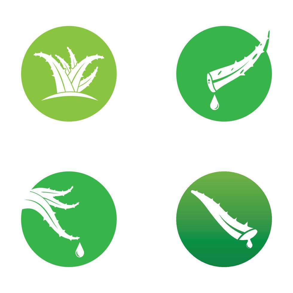 Aloe vera logo vector ilustration template