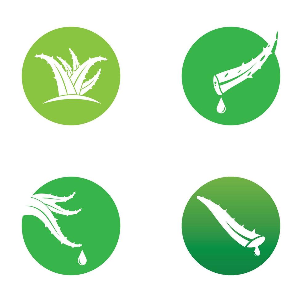 Aloe vera logo vector ilustration template