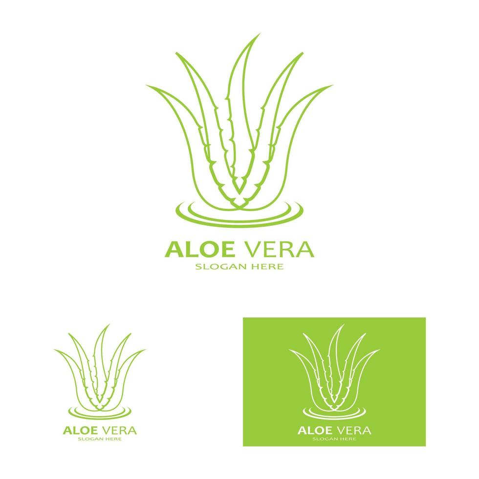 Aloe vera logo vector ilustration template