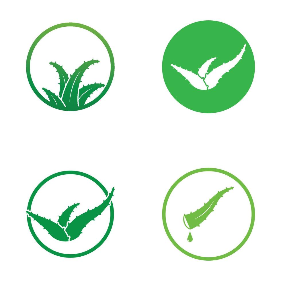 plantilla de ilustración de vector de logotipo de aloe vera