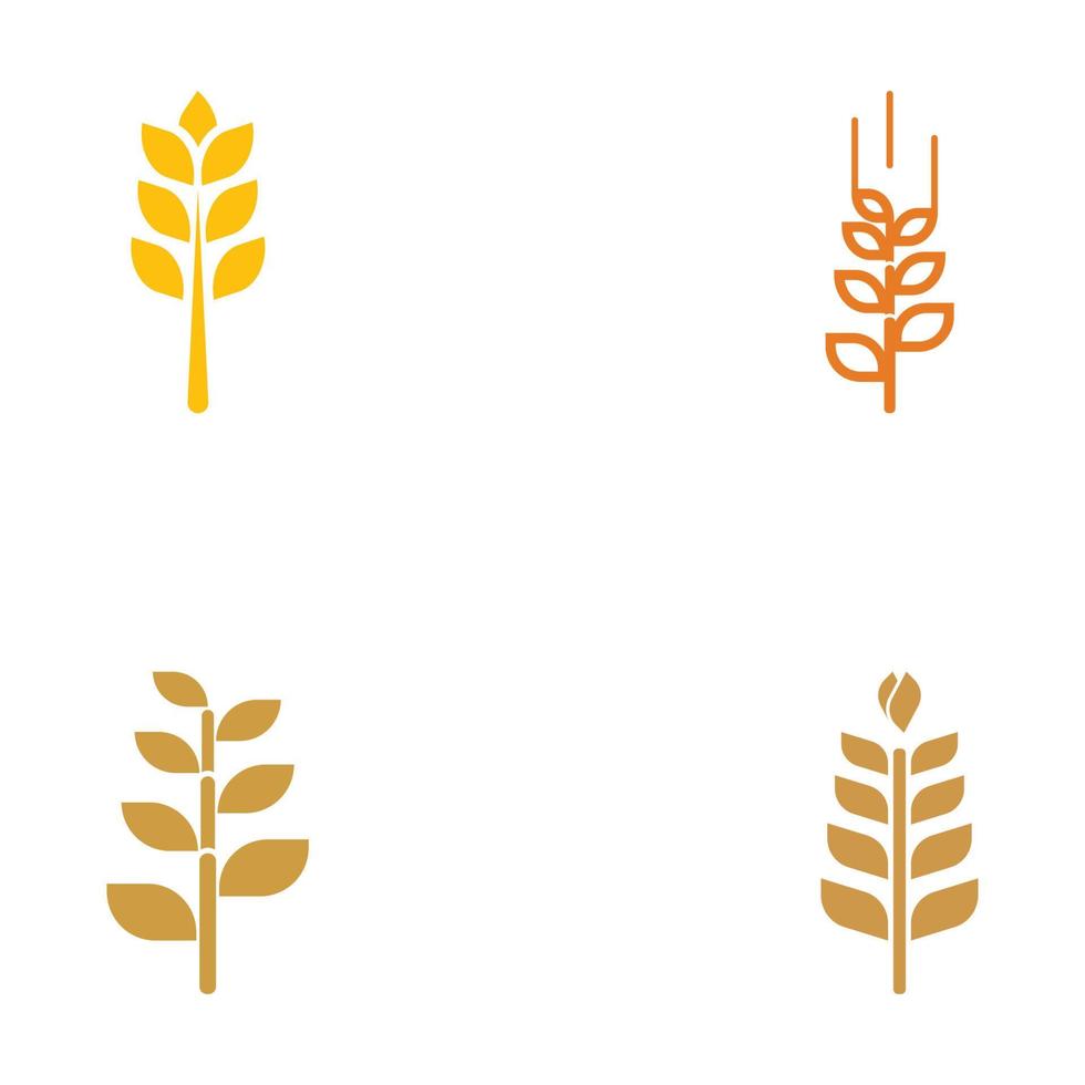 Wheat or cereal logo, wheat field and wheat farm logo.With easy and simple editing illustrations. vector
