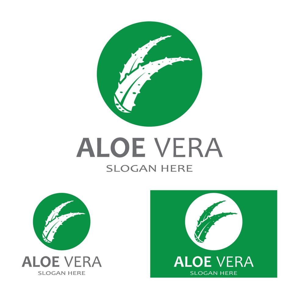 Aloe vera logo vector ilustration template